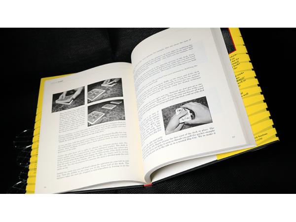 Spoiler Alert (Introduction by John Bannon) by Ryan Matney - Book