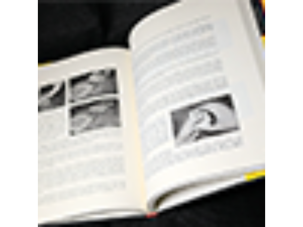 Spoiler Alert (Introduction by John Bannon) by Ryan Matney - Book