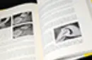 Spoiler Alert (Introduction by John Bannon) by Ryan Matney - Book – Image 9