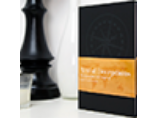 Artful Deceptions by Allan Zola Kronzek - Book