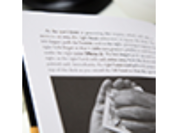 Artful Deceptions by Allan Zola Kronzek - Book