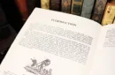 The Lilliputians by Will Ayling - Book – Image 4