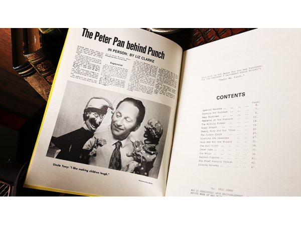 Professional Punch by Tony Green - Book