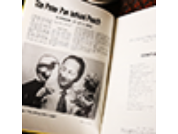 Professional Punch by Tony Green - Book