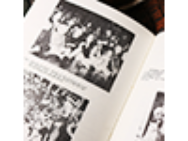 Professional Punch by Tony Green - Book