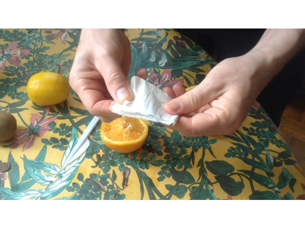 CITRUS: The Next Generation (C1 - Large) by Nourdine - Trick