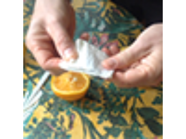 CITRUS: The Next Generation (C1 - Large) by Nourdine - Trick