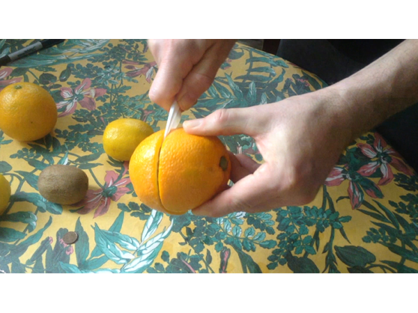 CITRUS: The Next Generation (C1 - Large) by Nourdine - Trick
