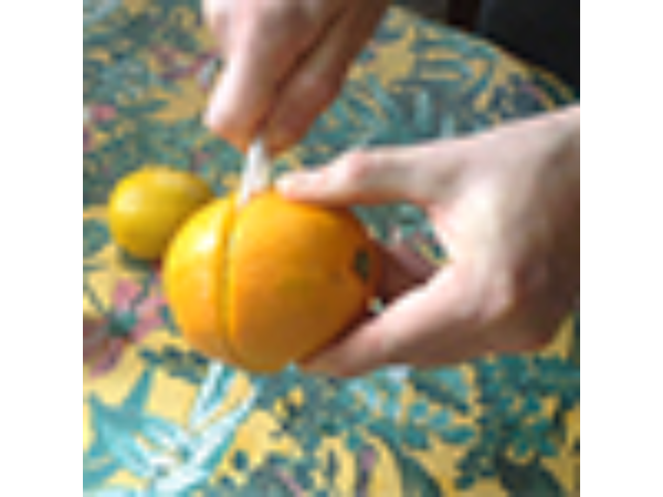 CITRUS: The Next Generation (C1 - Large) by Nourdine - Trick