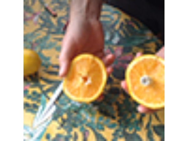 CITRUS: The Next Generation (C1 - Large) by Nourdine - Trick