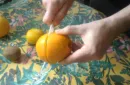 CITRUS: The Next Generation (C1 - Large) by Nourdine - Trick – Image 4