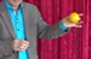 CITRUS: The Next Generation (C1 - Large) by Nourdine - Trick – Image 10