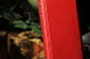 My Magic Life (Limited/Out of Print) by David Devant - Book – Image 3