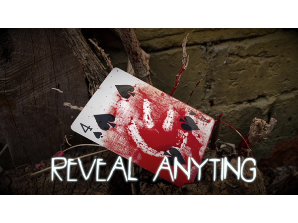 PaperCut by Beau Cremer - DVD