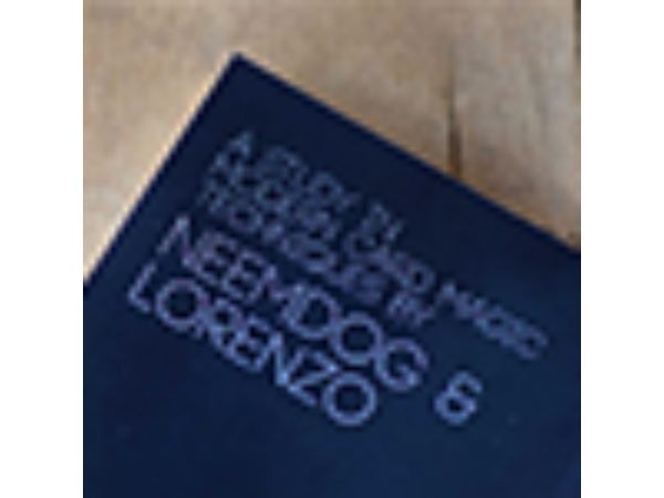Nine Black Cats by Neemdog and Lorenzo - Book