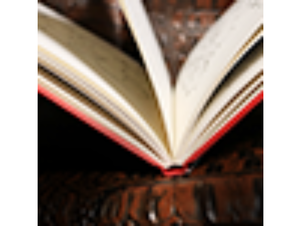 Horace Bennett's Prize Winning Magic (Limited/Out of Print) edited by Hugh Miller - Book