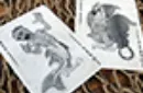 Master Deck East - Playing Cards – Image 5