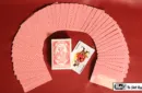 Electric Deck (52 Cards Bridge) by Mr. Magic - Trick – Image 2