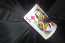Umbrella Card Sword by Brad Toulouse-Maple Leaf Magic - Trick – Image 4