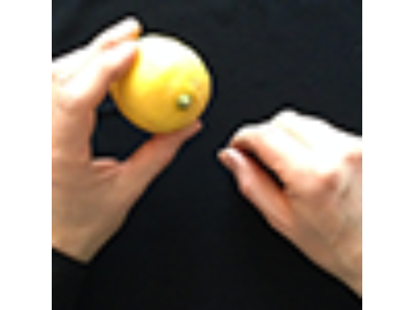 CITRUS: The Next Generation (C2 - Small) by Nourdine - Trick