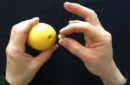 CITRUS: The Next Generation (C2 - Small) by Nourdine - Trick – Image 6