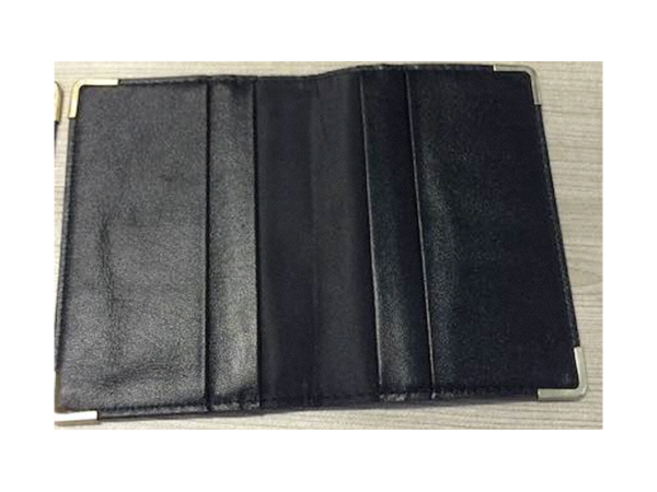 The Sight Unseen Case - Generation II by Mark Strivings