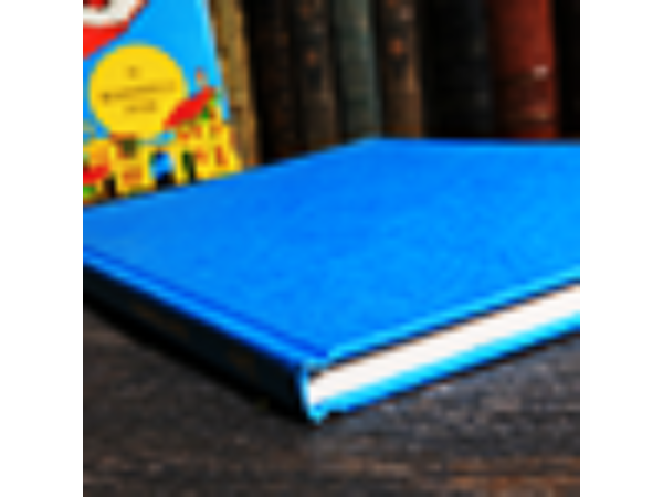 My Latest Book (Limited/Out of Print) by Karrell Fox - Book