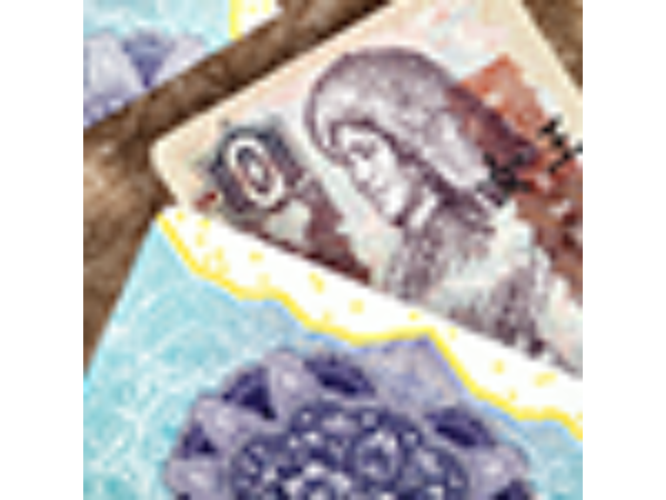 Legal Tender (Chinese Version) Playing Cards by King's Wild