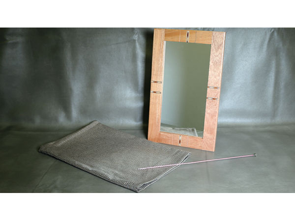 Flexible Mirror/Needle Through Mirror by Tony Karpinski