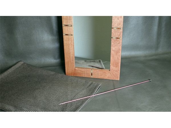 Flexible Mirror/Needle Through Mirror by Tony Karpinski