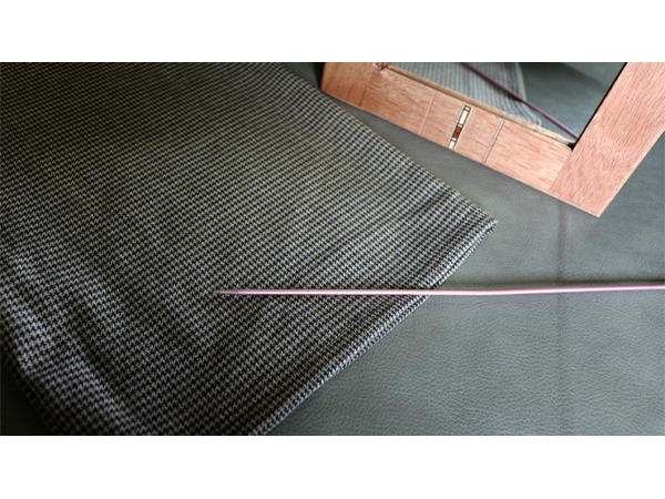 Flexible Mirror/Needle Through Mirror by Tony Karpinski