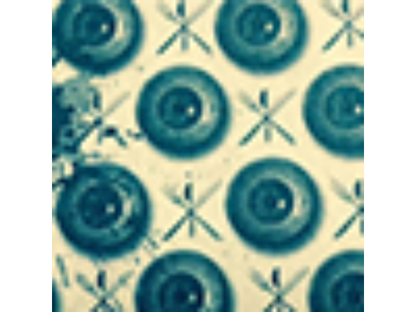 The Green Neck System by Gabriel Werlen & Marchand de trucs & Mindbox - Book