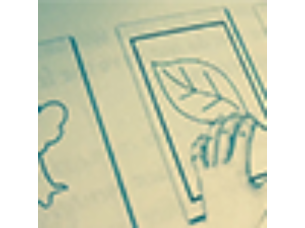 The Green Neck System by Gabriel Werlen & Marchand de trucs & Mindbox - Book