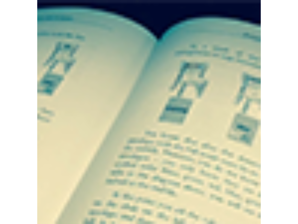 The Green Neck System by Gabriel Werlen & Marchand de trucs & Mindbox - Book