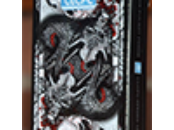 Black Dragon Series Playing Cards (Standard Edition) by Craig Maidment
