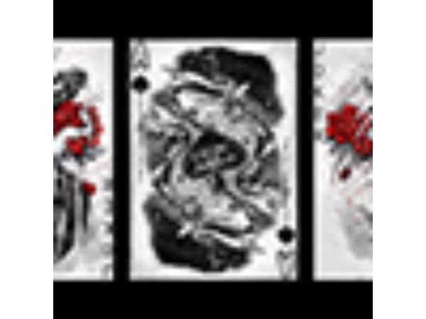 Black Dragon Series Playing Cards (Standard Edition) by Craig Maidment