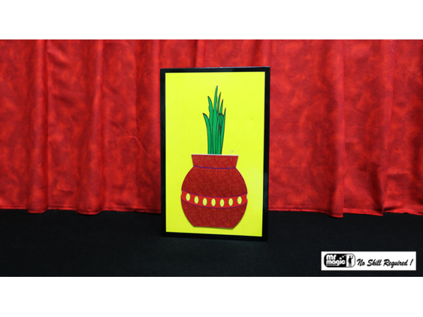 3D Flower Bouquet Blooming Vase by Mr. Magic - Trick