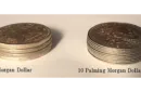 Palming Morgan Dollar Replica (10 Coins) by Shawn Magic – Image 2
