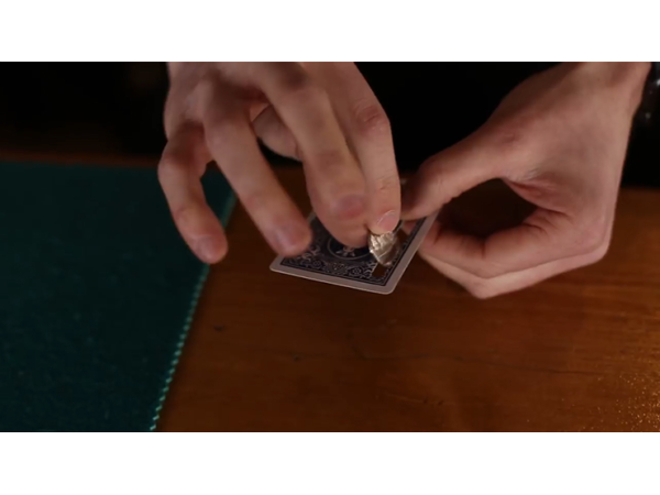 Expansion Red (DVD and Gimmicks) by Daniel Bryan and Dave Loosley