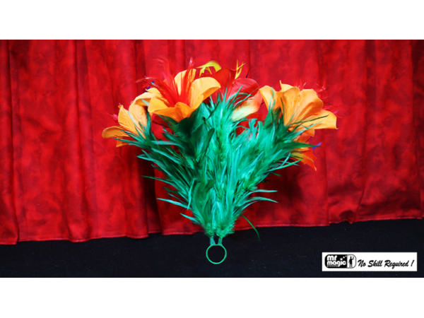 Classic Sleeve Bouquet Pair (6) Deluxe by Mr. Magic