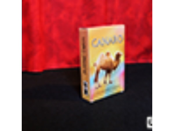 Card Castle with Six Card Repeat by Mr. Magic - Trick