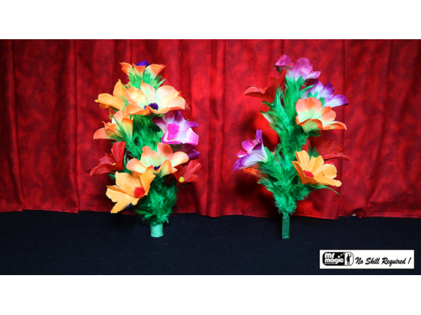 Double Flower Bouquet by Mr. Magic - Trick