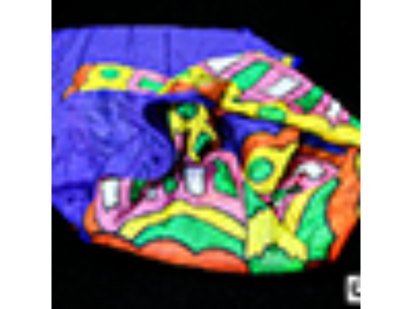 Production Silk Butterfly 36 inch  x 36 inch by Mr. Magic - Trick