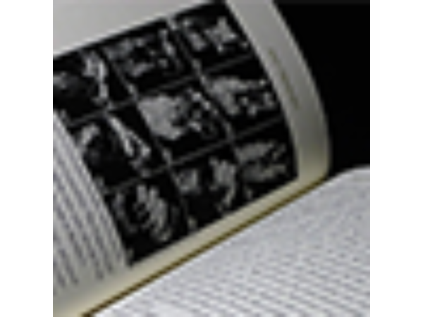 Gibecière 21, Winter 2016, Vol. 11, No. 1 - Book