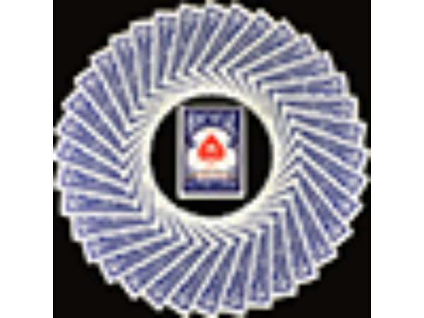 Bicycle Paris Back Limited Edition Blue Playing Cards by JOKARTE