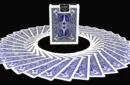 Bicycle Paris Back Limited Edition Blue Playing Cards by JOKARTE – Image 2