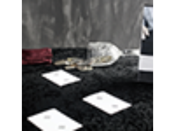 Pearl's Coin by Mr. Pearl - DVD