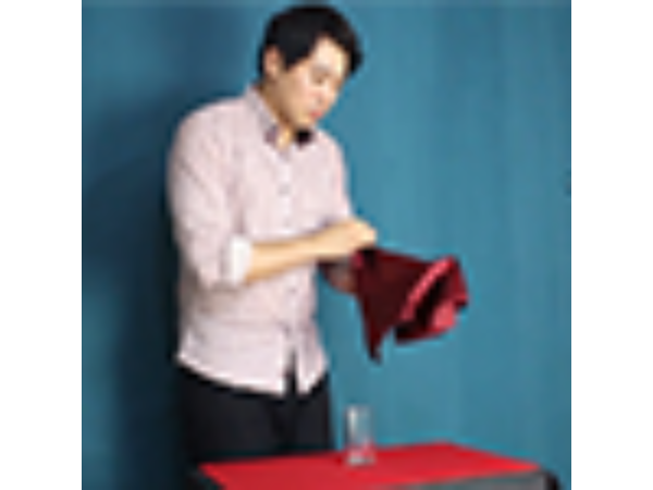 Pearl's Coin by Mr. Pearl - DVD