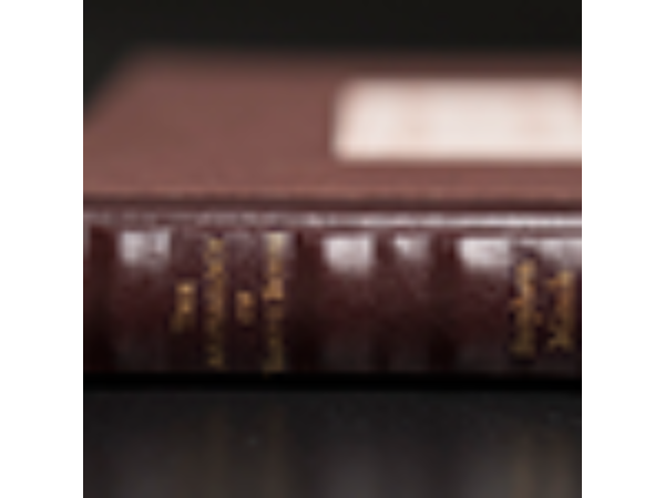 The Aretalogy of Vanni Bossi by Stephen Minch - Book