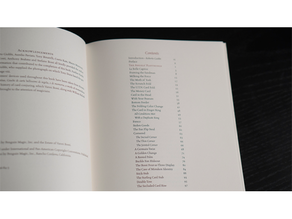 The Aretalogy of Vanni Bossi by Stephen Minch - Book